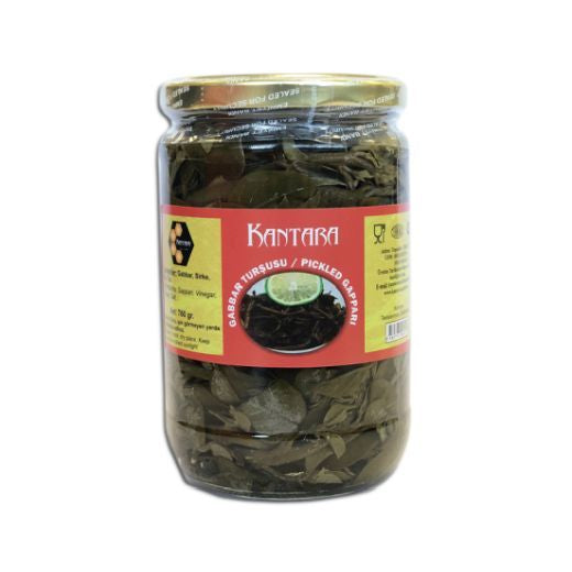 Kantara Gabbar Tursu (Jar) (760GR)
