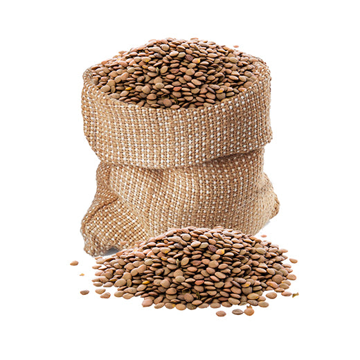 Brown Lentil (Whole Red Lentil) (KG) product image