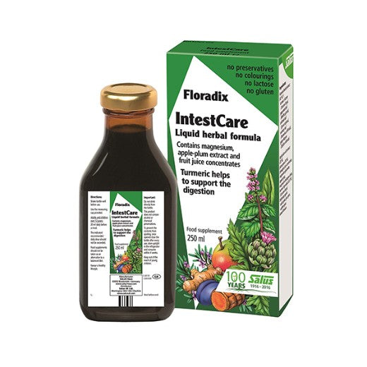 Salus Haus Floradix Intestcare (250ML)