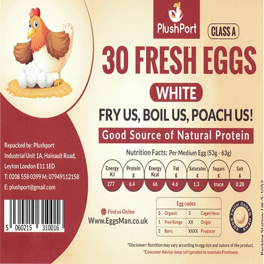 Plushport Medium White Eggs 30 Pack (30 pcs) product image