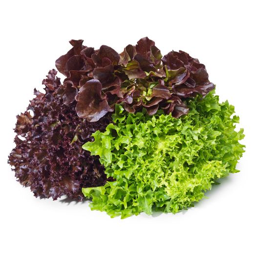 Veg Mixed Lettuce product image