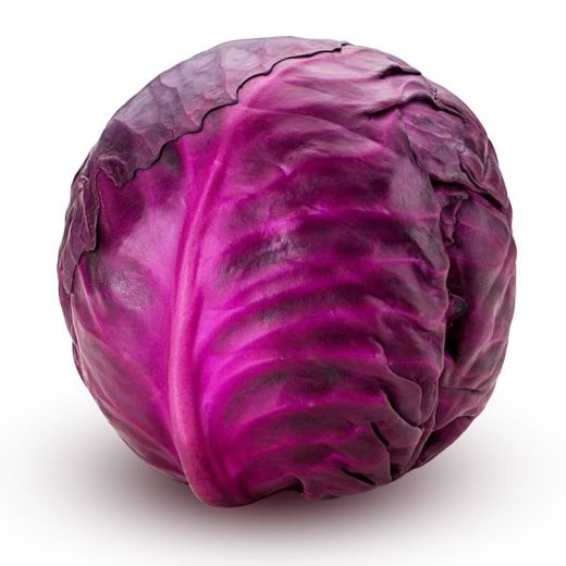 Veg Red Cabbage 10kg product image