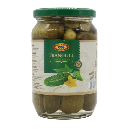 Abi Progres Pasteurized Gherkin Pickles 6-9CM (680G) - Aytac Foods