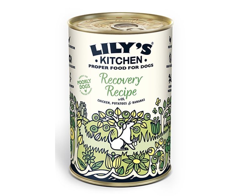 Lily's Kitchen Recovery Recipe For Dogs (400G) - Aytac Foods