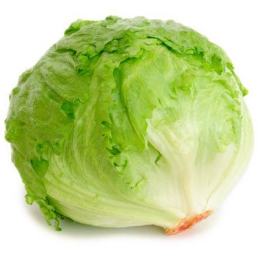 Veg Iceberg (X10) product image